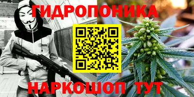 mdma Заводоуковск